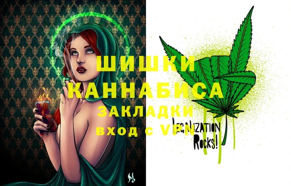 индика Михайловка