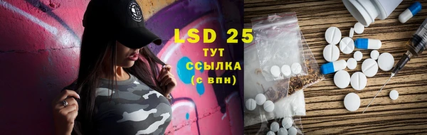 индика Михайловка