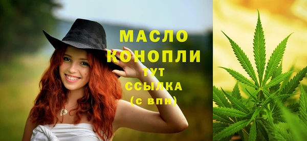 индика Михайловка