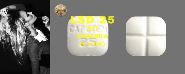 индика Михайловка