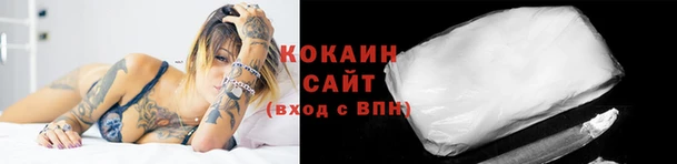индика Михайловка