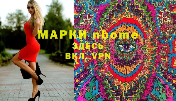 индика Михайловка