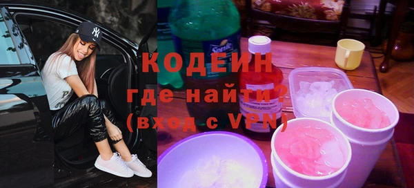 индика Михайловка