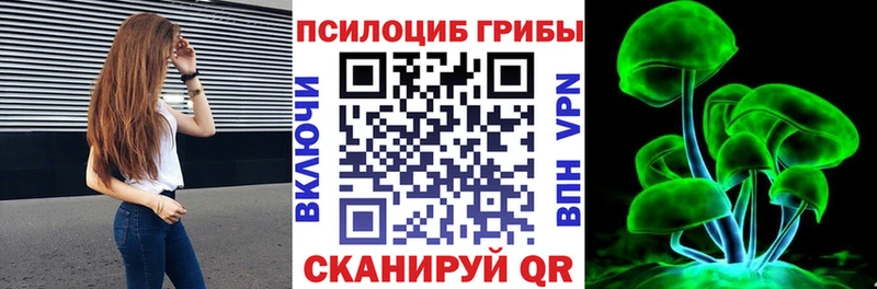 Галлюциногенные грибы Psilocybine cubensis  Купить где  Южно-Сухокумск 