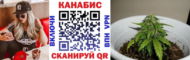 Купить где  Южно-Сухокумск  Шишки марихуана индика 